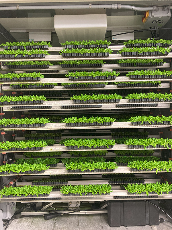 Sea to Sky Farms – SECURING TOMORROW’S FOOD SUPPLY TODAY